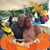 Mary Yourkstovich's profile image