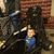 Nedra Phipps's profile image