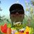 Brian Pike's profile image