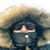 Krystyna Osiecka Kaszuba's profile image