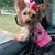Vickie Davis Benson's profile image