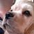 Karen Kowlzan's profile image