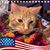 Suzanne Bargisen's profile image