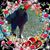 Sharon Strangman's profile image