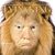 Dan Ross's profile image