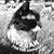 Birgit Ulrich Davis's profile image