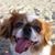 Chrysty Preszler's profile image