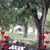 Diane Mize's profile image