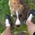 Hyla Richey's profile image