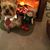 Carol Jeanne Besaw's profile image