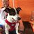 Julie Banks Hodges's profile image