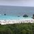 Dianne Hallam Driscoll's profile image