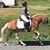 Karen Walling's profile image