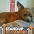 Wanda Jo Haley's profile image