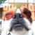 Denise Etzkorn's profile image