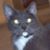 Pam Clark's profile image