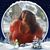Stacy McGatha Wyckoff's profile image
