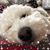 Amy Lynn Mott's profile image