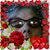 Kathy Gentry's profile image