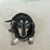 Jerry Kimbrell's profile image