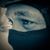 Andrés Gutierrez's profile image