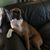 Donna Erwin Torres's profile image