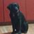Eva Baseley's profile image