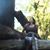Judy Lattymer Smith's profile image