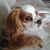 Angelina Silveira's profile image