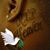 Tutu Garland Dorsey's profile image