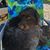 Cyndy Domina's profile image