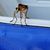 Babette Loraine's profile image