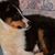 Janet McBryde's profile image