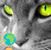 Anabela Pereira's profile image