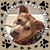 Melissa Schroeter's profile image