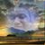 Sunny King Craig Martin's profile image