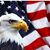 Deb Schier's profile image