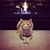 Charline Roth's profile image