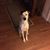Christine Sipes Harrington's profile image