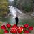 Joni Bassett's profile image