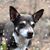 Scott Maulding's profile image