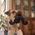 Stephanie Shorr Quinn's profile image