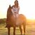 Courtney Shlensky's profile image