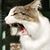 Sarah R. Bloom's profile image
