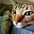 Briann Hanley's profile image