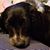 Debby AxlRose Adkins's profile image