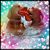 Cheryl Peglow Borsanyi's profile image