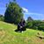 Alessandra Rocha Lima's profile image