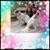 Carolyn Snow Yates's profile image