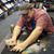 Bill Bushong's profile image